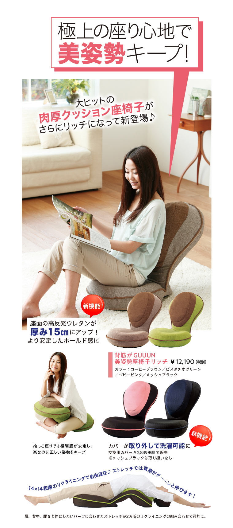 美姿勢座椅子リッチ