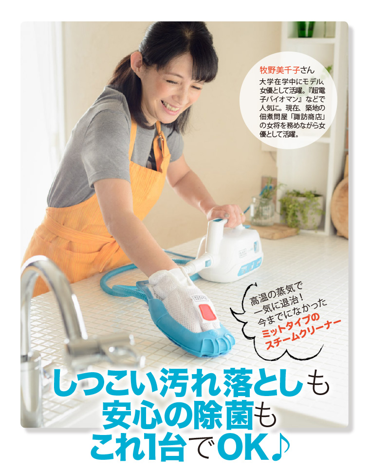 スチーミット