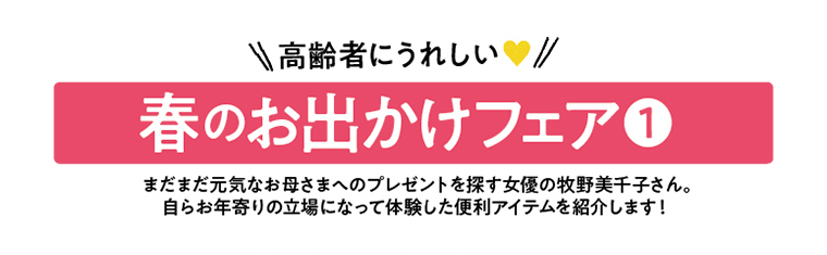 足博士フットレシューズ