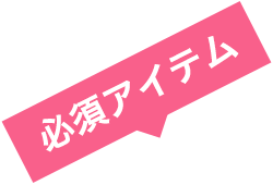 必須アイテム