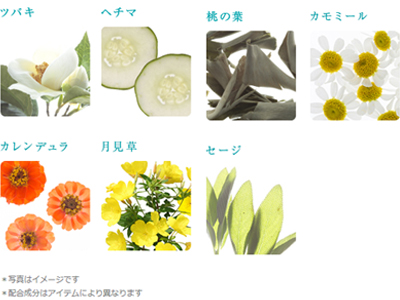 medel(メデル)