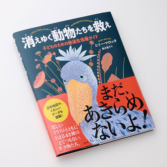 消えゆく野生と自然―動物たちに何が起きているか (1985年) 消えゆく野生と自然―動物たちに何が起きているか (1985年)
