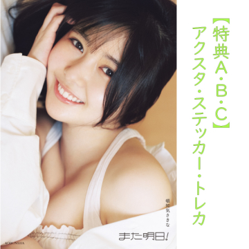 [【特典3点セット】頓知気さきなフォトスタイルブック「また明日!」3冊]