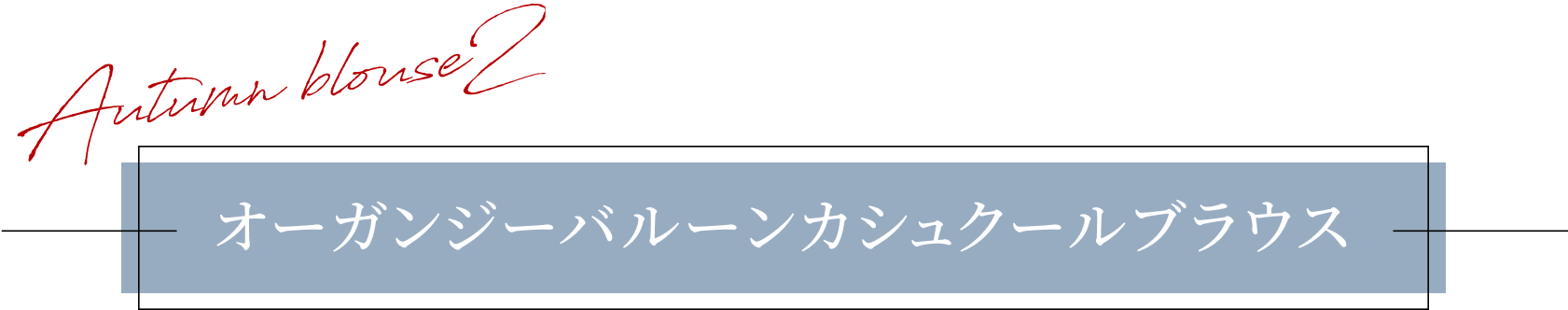 オーガンジーバルーンカシュクールブラウス
