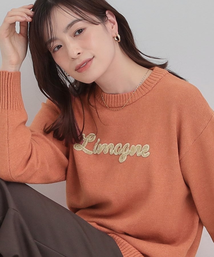 柔らかくフワフワした風合いがやみつきに スウェットライクロゴニット