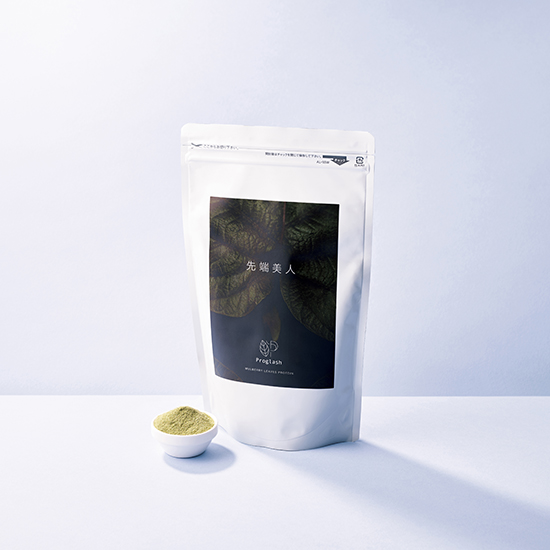 [先端美人]先端美人プログラッシュ