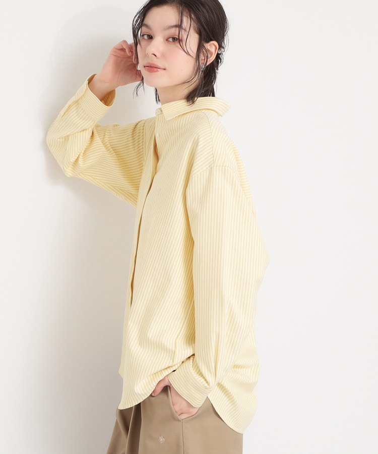 POLO BCS ストライプOXシャツ