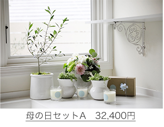 オシャレな花瓶⭐️新品　未使用‼️お花が好きな方　是非‼️ Amazon.co.jp: iikuru 花瓶 大 小 3個 セット フラワーベース